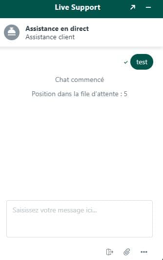 Début chat Cashed