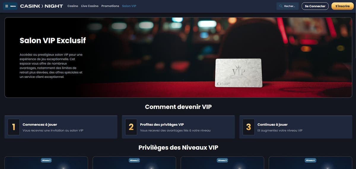 VIP Casino Night Casino