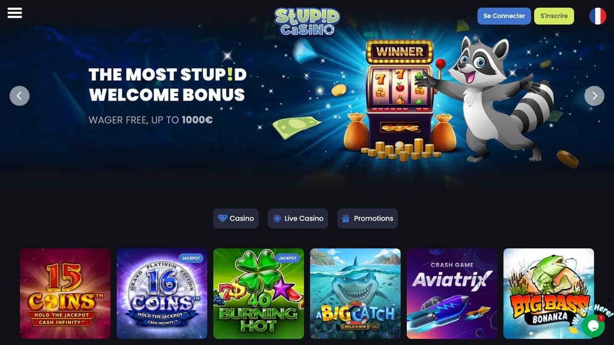 Stupid Casino
