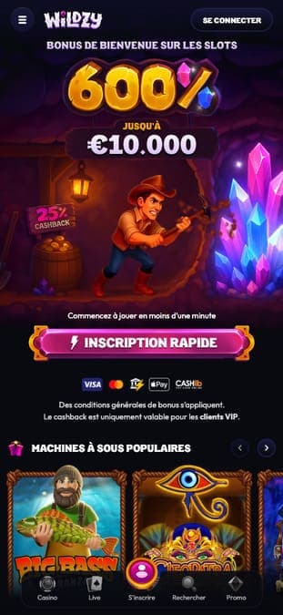 Wildzy Casino Application