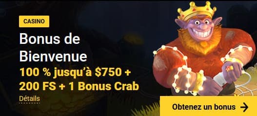 Bonus de bienvenue Zet Casino
