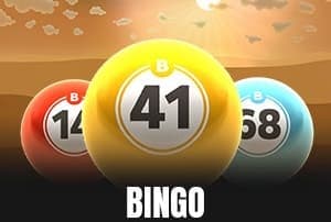 Bingo