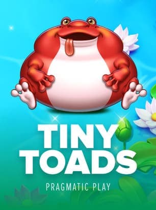 Tiny Toads