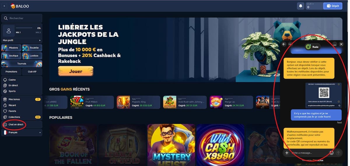 Service client Baloo Casino