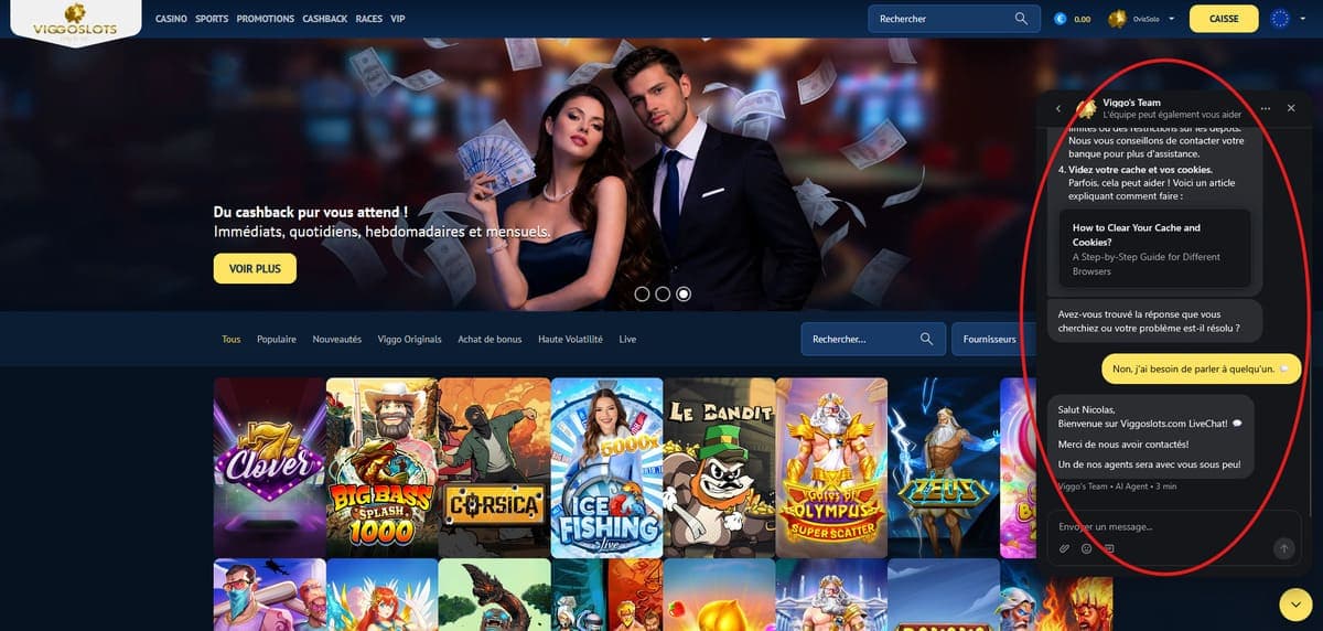 Support client Viggoslots Casino