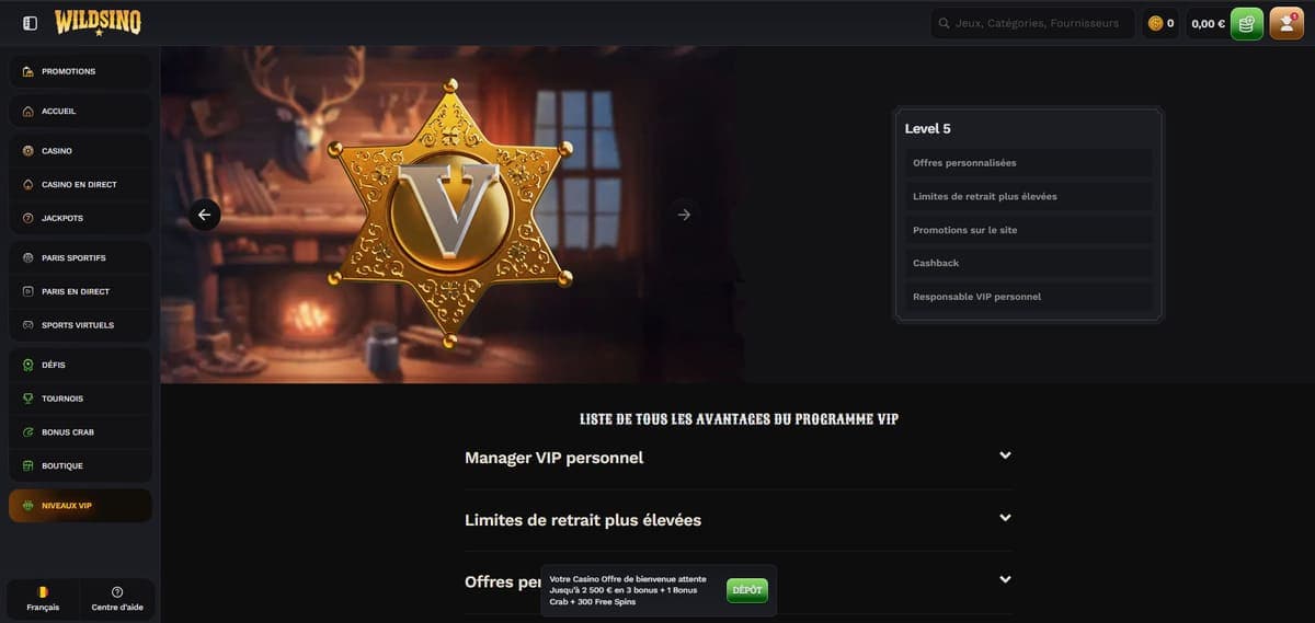 Programme VIP Wildsino Casino