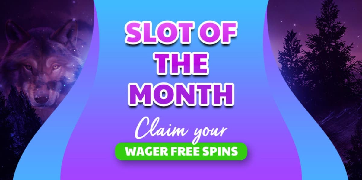 Mercredi chasse Wolfy Casino