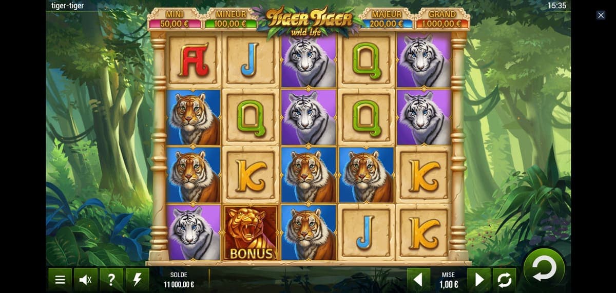 Grille - Tiger Tiger