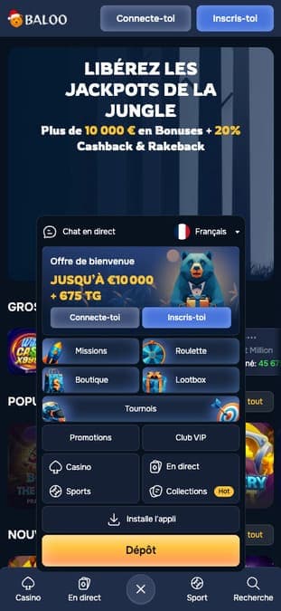 Baloo Casino Application Baloo Casino Application