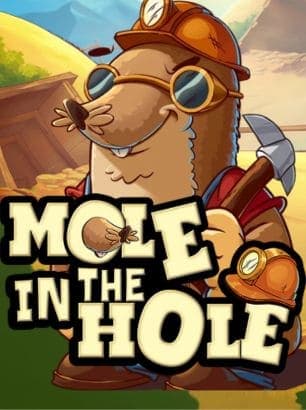 Mole in the Hole Mole in the Hole